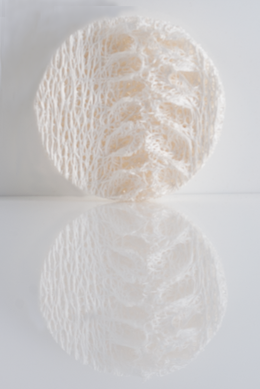 Loofah Svamp