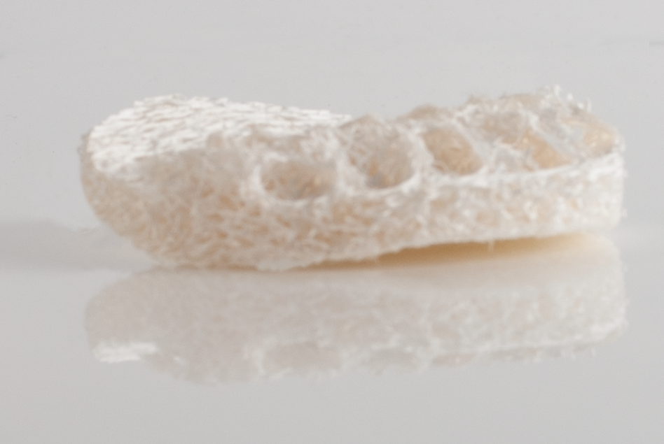Loofah Svamp