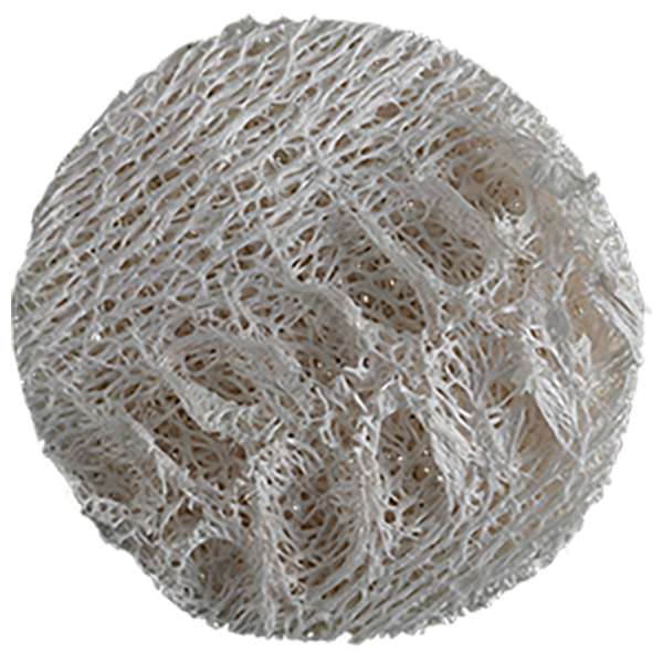 Loofah Svamp
