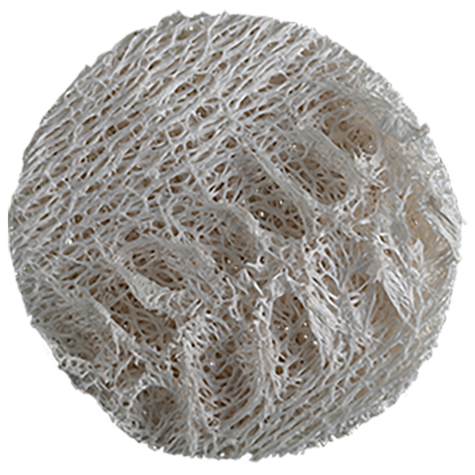 Loofah Svamp
