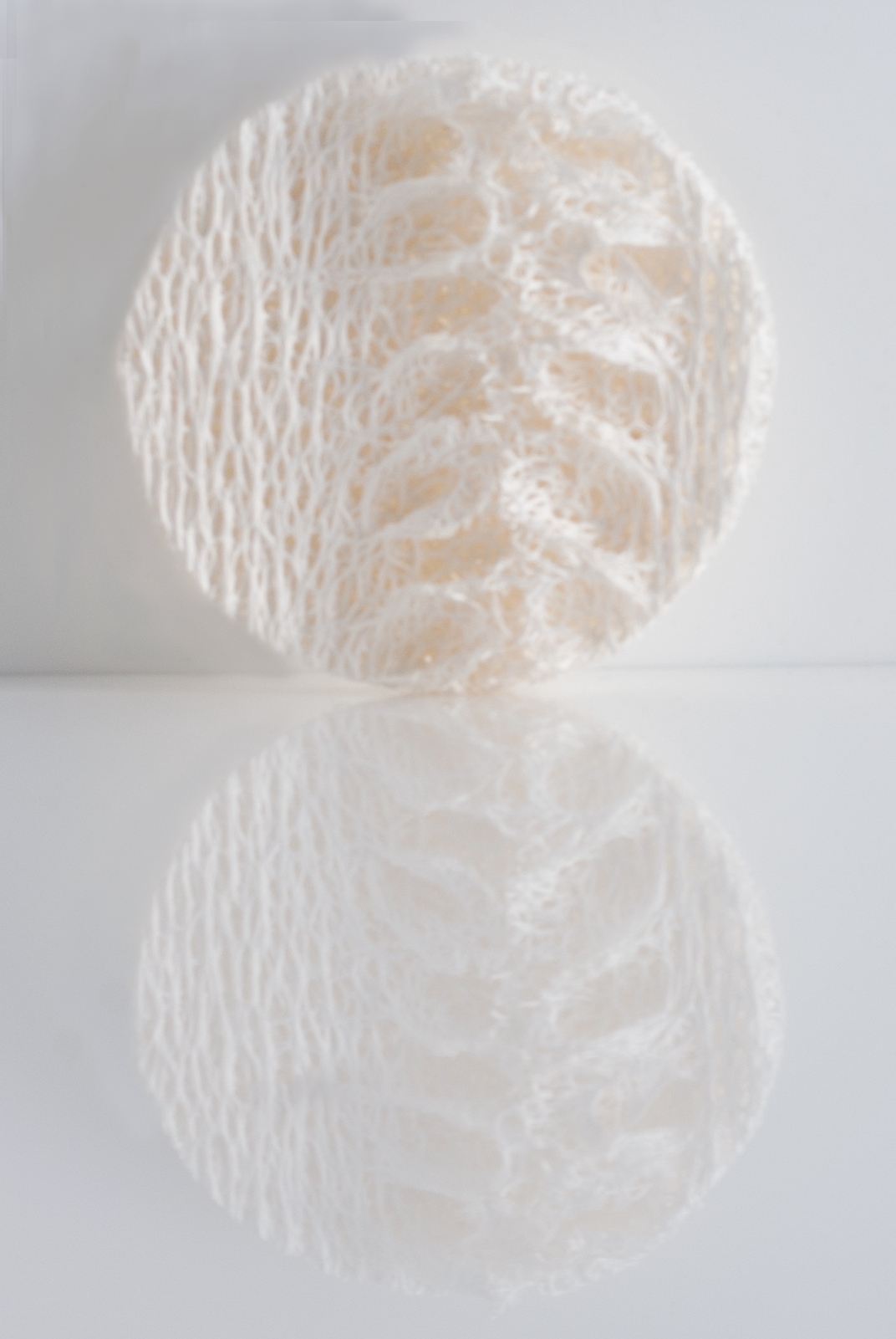 Loofah Svamp